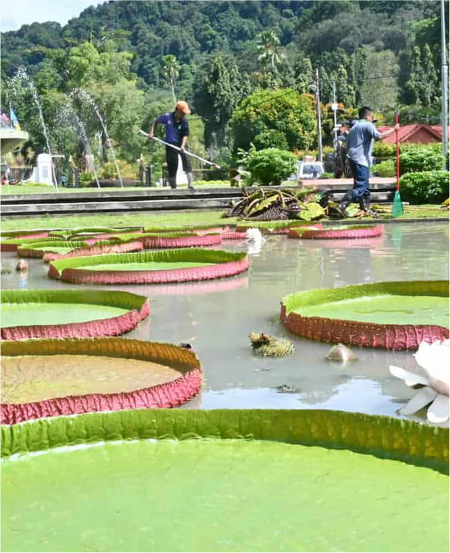 Penang Botanic Garden