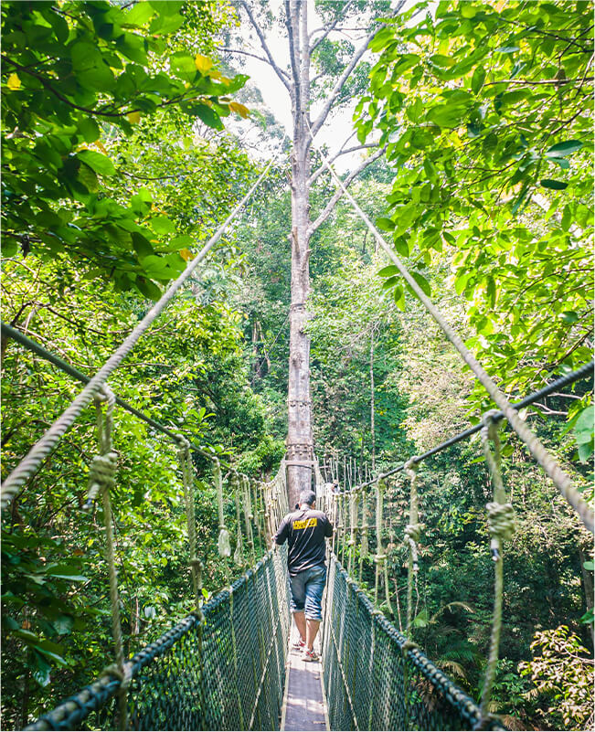 Penang National Park